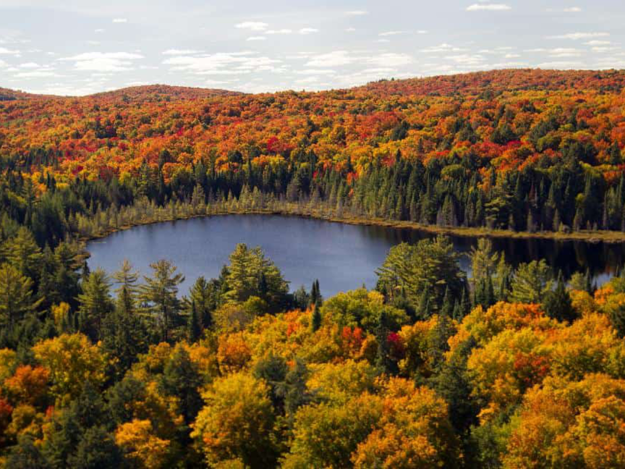 Algonquin Park